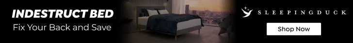 sleeping duck